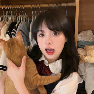 枝头凤